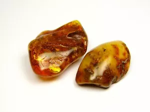 Lot of 2 Baltic Amber Stones 42gr. Multicolor Natural Genuine Polished 6723 - Picture 1 of 7