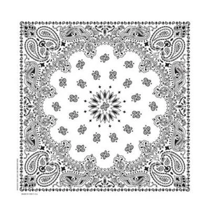 Hav-A-Hank USA Made 100% Cotton Paisley Bandannas Bandanas 22"X22" - Picture 1 of 32
