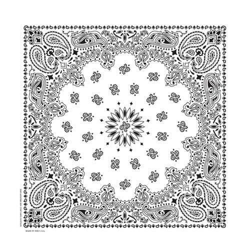 Hav-A-Hank USA Made 100% Cotton Paisley Bandannas Bandanas 22"X22" - Image 1 of 1