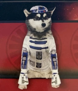Rubies Pet Shop Disney Star Wars R2-D2 Haustierkostüm BRANDNEU Größe Small - Bild 1 von 5