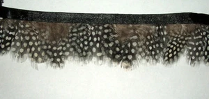 5 yards of 1.75" Spotted Guinea Hen Feather Fringe on Bias  4 colors available - Picture 1 of 9