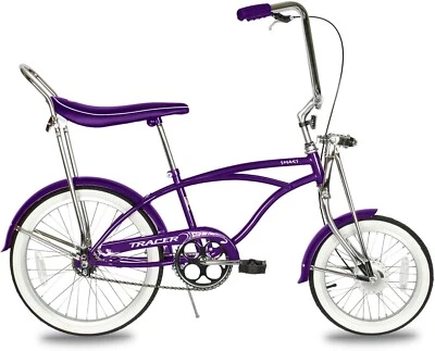 New Retro 20" Lowrider Drum Brake Classic Schwinn Krate Style Stingray Bike - Image 1 of 3