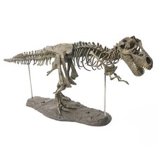 Tyrannosaurus Rex Assemble Skeleton Large Dinosaur Fossil Skull Animal Model Toy