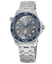 Omega Seamaster Diver 300M Grey Dial Men's Watch 210.30.42.20.06.001-SD