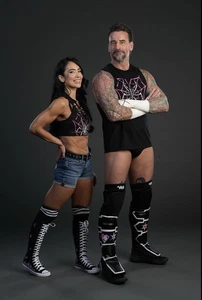 AJ LEE WWE Foto Photo 11x17 Poster Aj Lee Returns Print Wrestler Cm Punk - Bild 1 von 1