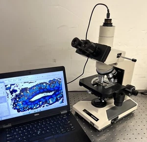 Olympus BH2 BHTU Trinocular Microscope with 5MP camera system - Picture 1 of 22