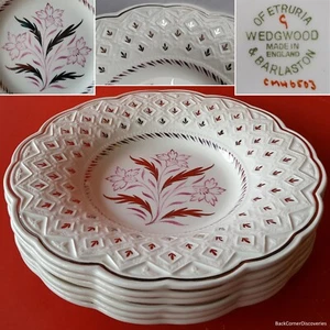 6 Wedgwood England CMH6503 85⁄8 Zoll geprägte Felge Suppenschalen. Platin. Deptford Pink - Bild 1 von 19