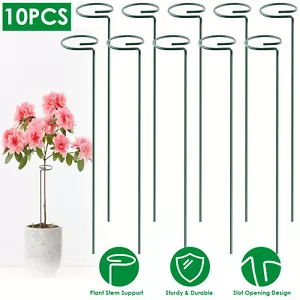 10PCS 10" 16" Plant Stake Support Garden Flower Veg Stakes For Orchid Lily Rose - Picture 1 of 11