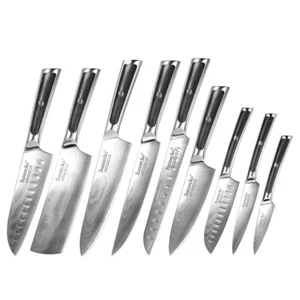 9Pcs Kitchen Knives Set Japanese Knife Damascus Steel Chef Knife Santoku Slicing - Picture 1 of 97