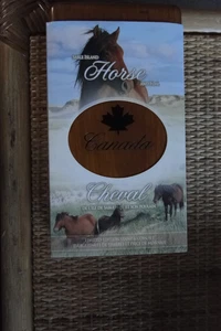 Canada Sable Island Horse & Foal 5 $ Limited Edition Silver Coin/2 $ Stamp Box Set - Bild 1 von 4