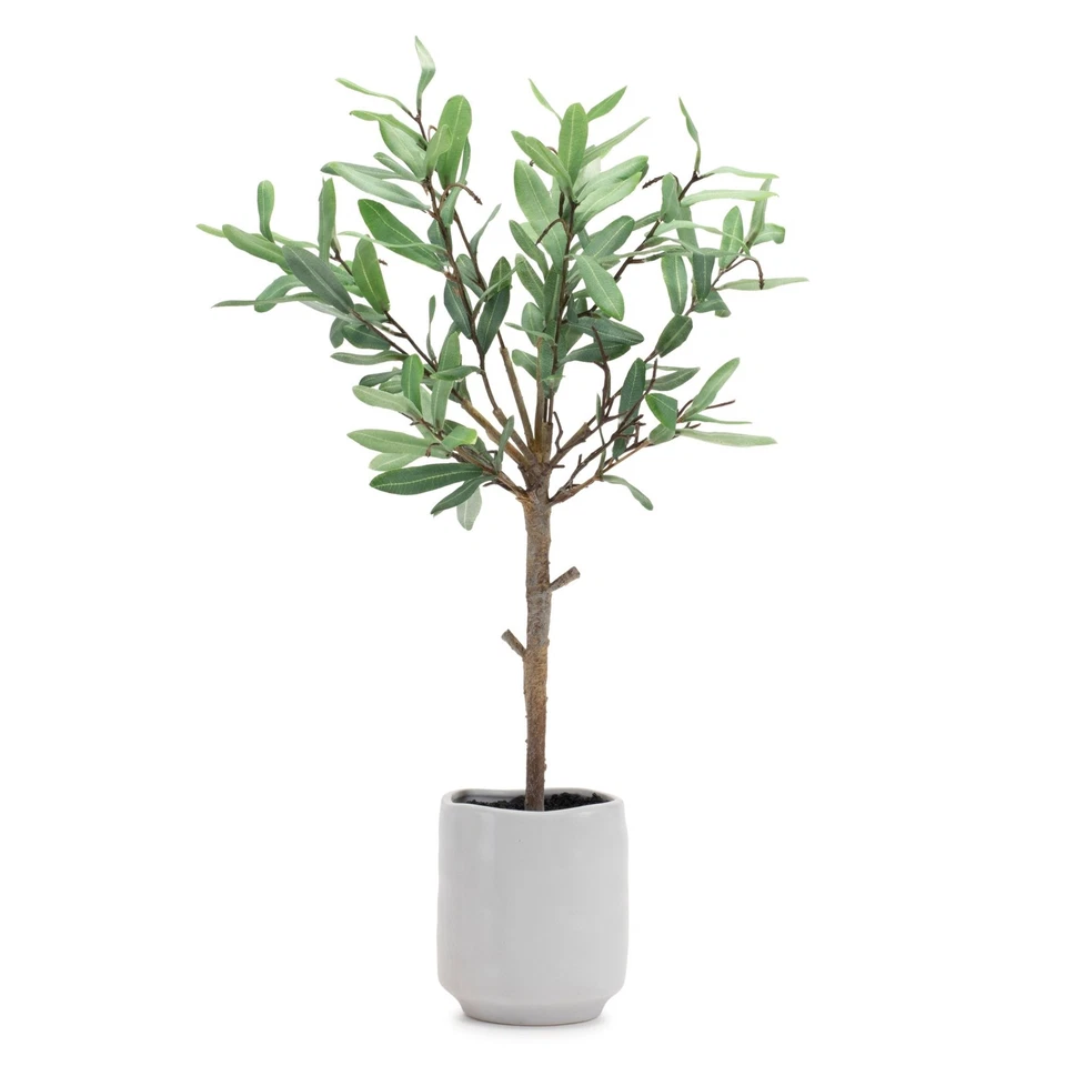 Melrose Potted Olive Leaf Topiary 21.5"H - Image 1 of 1