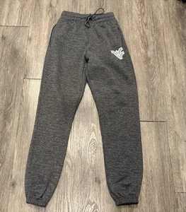 WVU West Virginia Mountaineers Mens Grey Jogging Pants Joggers Small NCAA Big 12 - Picture 1 of 6