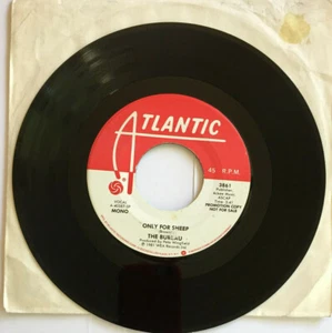 THE BUREAU - 7"45 - "ONLY FOR SHEEP (MONO) / (STEREO)" - PROMO COPY 1981 - USA - Picture 1 of 2