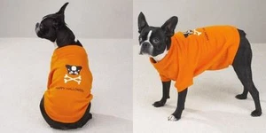 Sudadera Happy Halloween para Perro por Informal Canino Cross Bones Unisex - Imagen 1 de 1