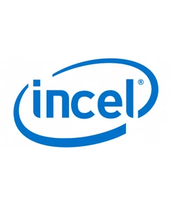 Adesivo Incel ~ Barfool ~ telefono laptop iPad cassetta degli attrezzi casco Intel personalizzato divertente - Foto 1 di 1