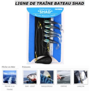 LIGNE DE TRAÎNE BATEAU SHAD - Imagen 1 de 2