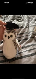 Ty Beanie Babies Wiser The Owl 1999, neu mit Etikett - Bild 1 von 4
