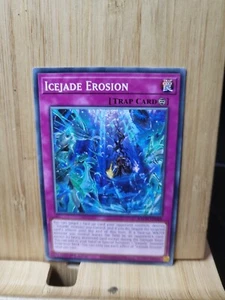 Yu-Gi-Oh! I 🏆IceJade Erosion - 1st Edition🏆COMMON Card - Picture 1 of 1