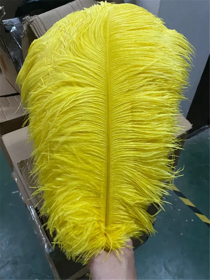Venta al por mayor 10/50/100 piezas plumas de avestruz 6-28 pulgadas/15-70 cm para fiesta de boda Foto 1 de 4