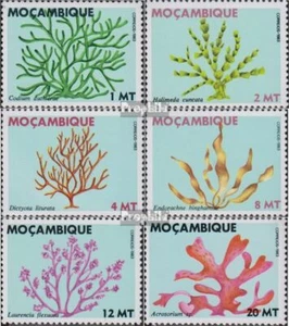 Mosambik 922-927 (kompl.Ausg.) postfrisch 1983 Seetang - Bild 1 von 1