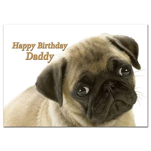 c196; Large Personalised Birthday card; Custom made for any name; Cute Pug Dog - Picture 1 of 1
