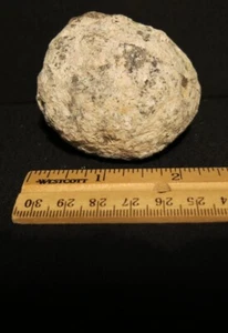 Guaranteed Hollow 2.25" Diameter Break Your Own Mexican Coconut Choyas Geode - Picture 1 of 4