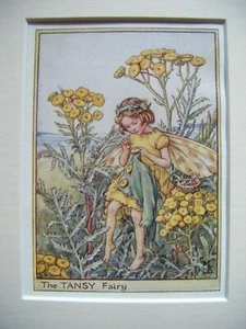Estampado de hadas de flores vintage y montaje El hada Tansy Cicely Mary Barker década de 1930  - Imagen 1 de 3