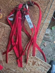 Neu Scott Haustier Hundehalsband 3/4" x 14" strapazierfähiges Nylon - Bild 1 von 2