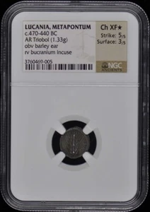 c.470-440 BC LUCANIA, METAPONTUM AR Triobol NGC XF45 - Picture 1 of 2