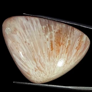 51.90 Cts Natural Pink Scolecite Cabochon Unique Pendant Supply 25X35X10MM - Picture 1 of 6
