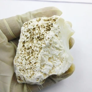 Earth Mined CERTIFIED Natural White Opal 395.55 Ct Uncut Rough Gemstones Loose - Picture 1 of 8