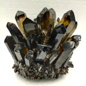 500-600g Natural Beatiful Black Quartz Crystal Cluster Specimen Healing - Bild 1 von 12