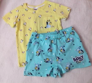 Nwt Size 7 Licensed Bluey Girls Beach Tee And Shorts Set - Picture 1 of 4