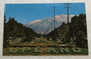 Upland, California Snow Caped Mountain Randge Over Euclid Ave. Postcard (I2) - Picture 1 of 2