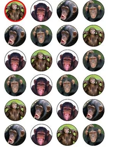 24 X FUNNY MONKEY MIX CARTA DI RISO COMPLEANNO CAKE TOPPERS - Foto 1 di 1
