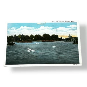 Postcard The Lake New Zoo Swans Detroit Michigan c1936 White Border Card D513 - Picture 1 of 2