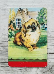 Swap Card, Genuine Vintage, Coles Card, Unamed Cute Pekinese Dog