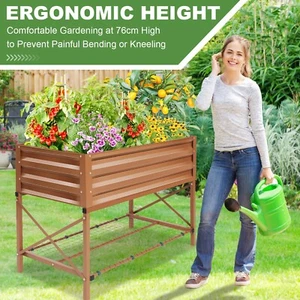 43"x20"x30" Metal Raised Garden Bed Outdoor with Legs/Storage Shelf for Flowers✨ - Picture 1 of 11