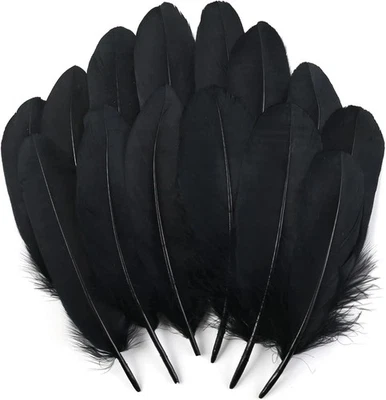 120pcs Black Goose Feathers Natural Bulk 6-8 Inch 15-20cm for Crafts Diy Cosplay - Image 1 of 4