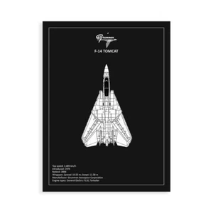 Stampa su Tela su Carta Poster o Quadro Rogan Mark BP F-14-Tomcat Black - Picture 1 of 2