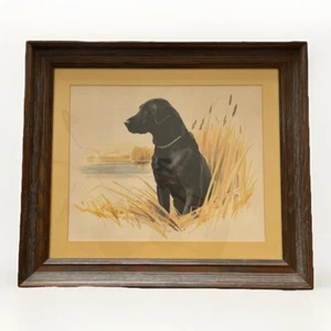 "Black Lab" by Elliott Print 20X16 Framed - Picture 1 of 7