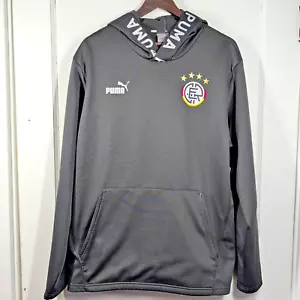 Puma 2022 Alemania Fútbol Fútbol Sudadera con Capucha Hombre Grande Gris Oscuro Sudadera Usada en Excelente Condición - Imagen 1 de 8