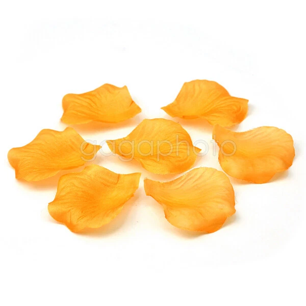 500 pétalos de rosa de seda decoración de fiesta de boda florero confeti floral favor Foto 1 de 1