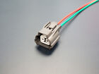 Reverse Light Switch Pigtails Plug Connector (harness Side) for D/B-Series