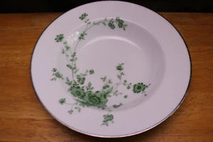 Noritake Ireland Tipperary Green Flowers Large 9 " Rimmed Soup Bowl (s) - Picture 1 of 6