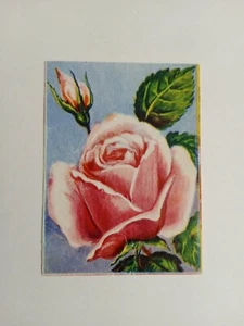 FIGURINA FIORI DI TUTTO IL MONDO LAMPO 1956 n 86 DA RECUPERO - Bild 1 von 2