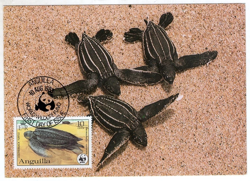 TORTUGAS, ISLAS ANGUILL, WWF, TARJETA Foto 1 de 1