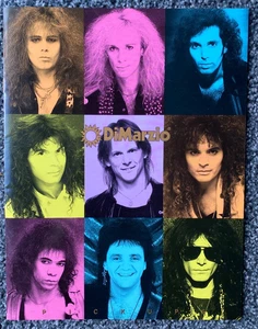 DiMarzio Pickups 1989 Katalog - 16 Seiten - Bilder, Info & Spezifikationen - NEUWERTIG!! - Bild 1 von 9