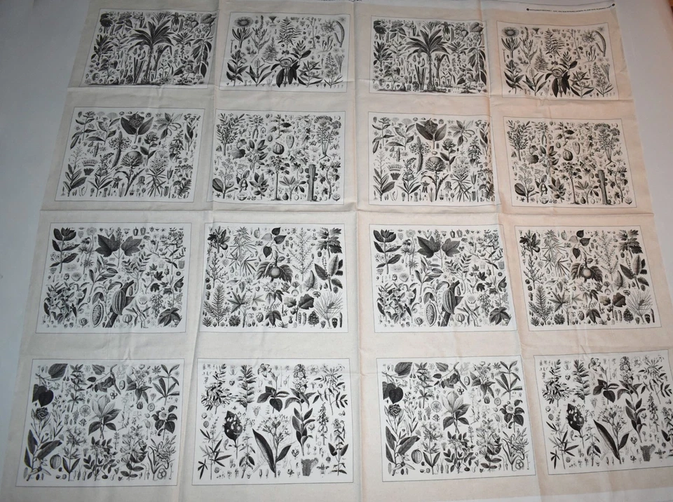 Ткани Andover хлопчатобумажная ткань панель с цветочным рисунком ботанические лоскутные одеяла блоки трудно найти больше не издающиеся - Изображение 1 из 4