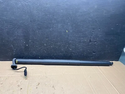 Amortiguador de puntal puerta trasera BMW X6 X6M M G06 2020 A 2023 OEM M1295 Foto 1 de 4